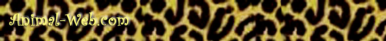 Animal-Web.com